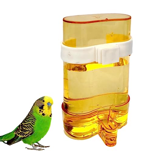 Water Feeder Vogel, Transparent Automatische Hygienische Vogelfutterstation Wassernapf, Sicher Harmlos Haustier Zubehör mit Clip für Papageien Finken Nymphensittiche Sittiche Wellensittiche von PLIAGE