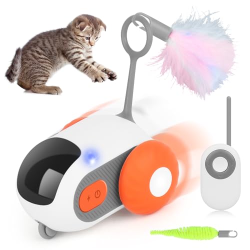 PLLYPE Katzenspielzeug Selbstbeschäftigung, Interaktives Katzenspielzeug Elektrisch mit 2 Modi, Automatisch Spielzeug für Katzen USB Aufladbar mit Fernbedienung, Smartyflip Katzenspielzeug(Orange) von PLLYPE