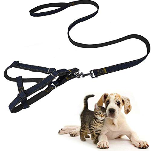 Katzenleine Hunde Leine Katzengeschirr mit Blei Hundegeschirr Kleiner Hund Hundegeschirr führen Slip Lead für Hunde Leine für große Hunde Black,l von PLUS PO