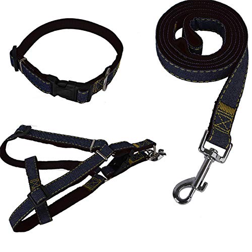 Katzenleine Hunde Leine Katzengeschirr mit Blei Hundegeschirr Kleiner Hund Hundegeschirr führen Slip Lead für Hunde Leine für große Hunde Black-Set,l von PLUS PO