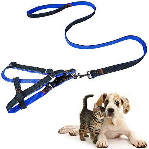 Katzenleine Hunde Leine Katzengeschirr mit Blei Hundegeschirr Kleiner Hund Hundegeschirr führen Slip Lead für Hunde Leine für große Hunde Blue,XL von PLUS PO