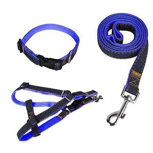 Katzenleine Hunde Leine Katzengeschirr mit Blei Hundegeschirr Kleiner Hund Hundegeschirr führen Slip Lead für Hunde Leine für große Hunde Blue-Set,XL von PLUS PO