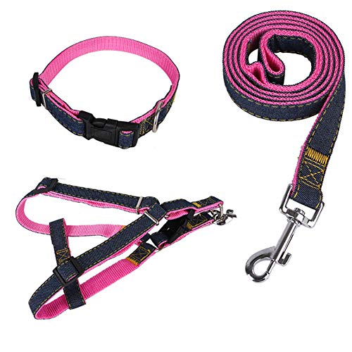 Katzenleine Hunde Leine Katzengeschirr mit Blei Hundegeschirr Kleiner Hund Hundegeschirr führen Slip Lead für Hunde Leine für große Hunde pink-Set,XL von PLUS PO