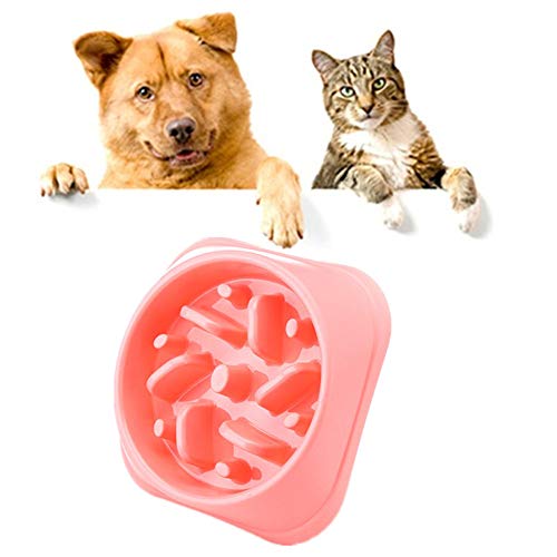 Katzennapf rutschfest Futternapf Katze Spaß, der Hundenapf herumsucht Welpenfutter Wet Bowl Katzenfutterschale rutschfeste Schüssel pink-c von PLUS PO