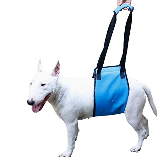 Tragehilfe Hund Hundegeschirr Gehhilfe für Haustiere Pet Sling Carrier Hundeschlingen für kleine Hunde Hundestützgurt für die Hinterbeine Blue,84 von PLUS PO