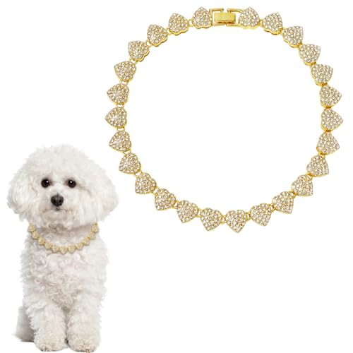 Goldfarbenes Metallkettenhalsband, Edelstahlkette, goldene Hundekette, kubanische Diamant-Halsbänder, Hundehalskette für Haustiere, goldene Hundekette, Spazierenruf, Metallzubehör (Gold, 25,4 cm) von PLUSHCEWT