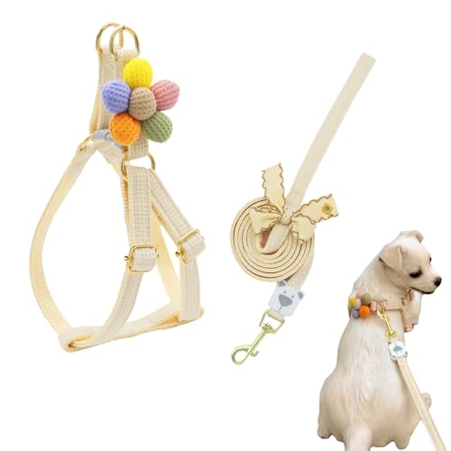 PLUSHCEWT Hundegeschirr für Kleine und Mittlere Hunde Kein Zug Verstellbares Leicht zu Gehendes Hundegeschirr Quick Fit Gurt Niedliches Blumengeschirr (L) von PLUSHCEWT