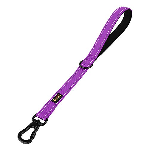 PLUTUS PET Kurze Trainingsleine mit gepolstertem Griff für mittelgroße und große Hunde, 45,7 cm, robuste Leine mit Karabinerhaken zum Klettern, Spazierengehen oder Führen von Rollos (45,7 cm, lila) von PLUTUS PET