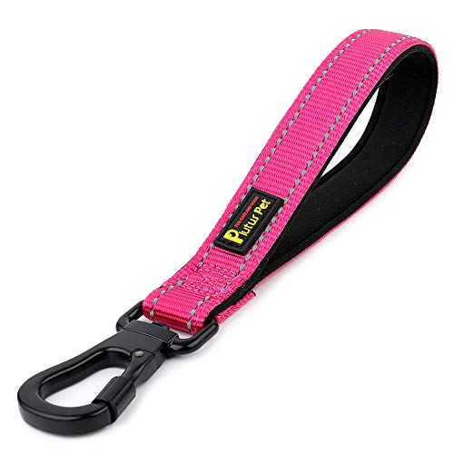 PLUTUS PET Starke Trainings-Hundeleine mit Kletter-Karabinerhaken, Relective Nylon-Hundeleine, gepolsterter Griff, Trainingsleine für große und mittelgroße Hunde (25 cm, Pink) von PLUTUS PET