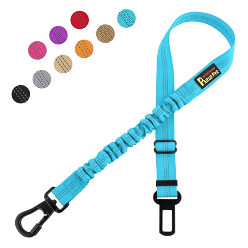 Plutus Pet Hunde-Sicherheitsgurt für Auto, verstellbares Hundegeschirr mit Karabiner-Clip, reflektierende Sicherheits-Hundesicherheitsgurt-Leine mit elastischem Bungee, Cyan von PLUTUS PET