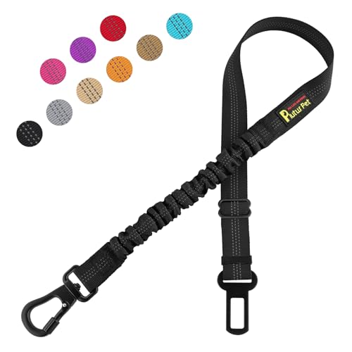 Plutus Pet Hunde-Sicherheitsgurt für Auto, verstellbares Hundegeschirr mit Karabiner-Clip, reflektierender Sicherheitsgurt für Hunde mit elastischem Gummizug, Schwarz von PLUTUS PET