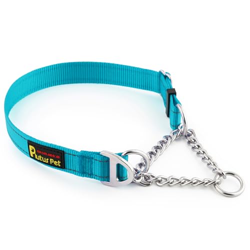 Plutus Pet Martingale Hundehalsband mit Edelstahlkette und reflektierendem Nylon, verstellbares Trainingshalsband ohne Ziehen, für kleine, mittelgroße und große Hunde, Cyan, S von PLUTUS PET