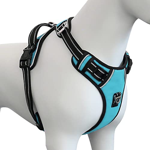 Plutus Pet No Pull Dog Harness, Release at Neck, Adjustable Reflective No-Choke Dog Vest Harness, Soft Padded with Easy Control Handle, for Small Medium Large Dogs (S, Cyan) von PLUTUS PET