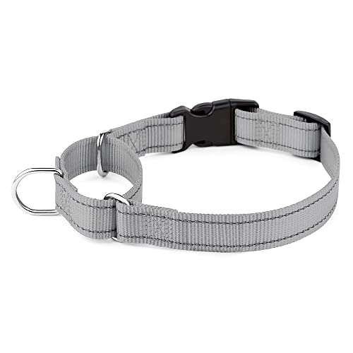 Plutus Pet Reflektierendes Martingale-Halsband mit Schnalle, strapazierfähiges und verstellbares Trainingshalsband für kein Ziehen, Hundehalsband für kleine, mittelgroße und große Hunde, Grau, XS von PLUTUS PET