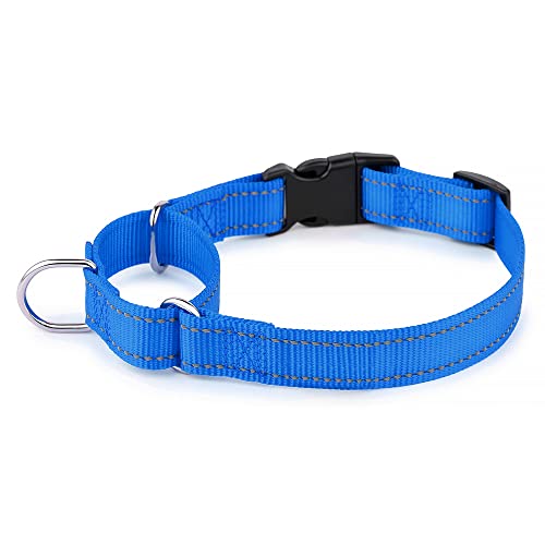 Plutus Pet Reflektierendes Martingale Halsband mit Schnalle - Strapazierfähiges und verstellbares Trainingshalsband für Kein Ziehen, Hund Choker Halsband für Kleine Mittlere Große Hunde, Königsblau, L von PLUTUS PET