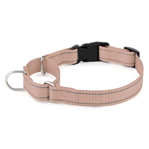 Plutus Pet Reflektierendes Martingale Halsband mit Schnalle - Strapazierfähiges und verstellbares Trainingshalsband für Kein Ziehen, Hund Choker Halsband für Kleine Mittlere Große Hunde, Beige, M von PLUTUS PET