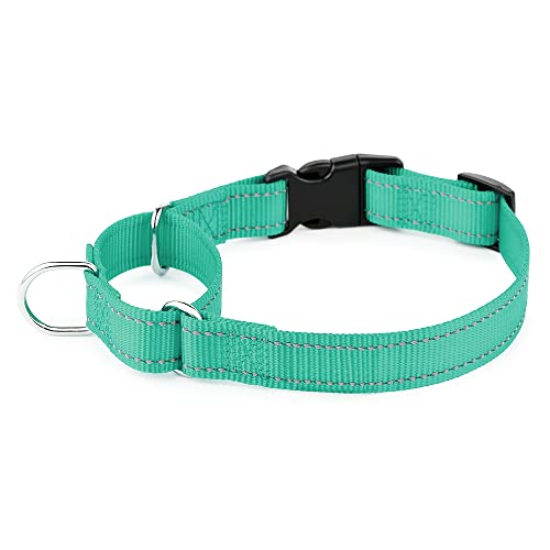 Plutus Pet Reflektierendes Martingale Halsband mit Schnalle - Strapazierfähiges und verstellbares Trainingshalsband für Kein Ziehen, Hund Choker Halsband für Kleine Mittlere Große Hunde, Blaugrün, S von PLUTUS PET