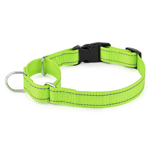 Plutus Pet Reflektierendes Martingale Halsband mit Schnalle - Strapazierfähiges und verstellbares Trainingshalsband für Kein Ziehen, Hund Choker Halsband für Kleine Mittlere Große Hunde, Hellgrün, M von PLUTUS PET