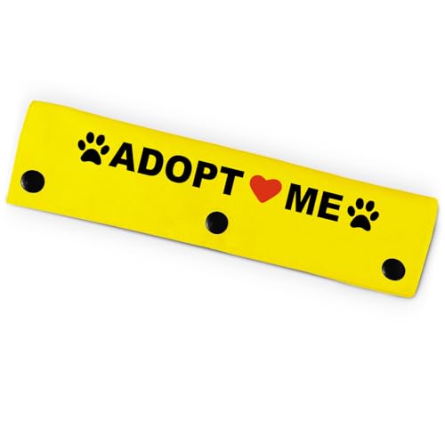 Adopt Me Hundeleine für Hunde, lustige Hundeleine für Hundeliebhaber, Besitzer, Geschenk (Gelb) von PNTKION