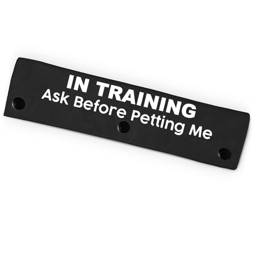 In Training "Ask Before Petting Me" Haustier-Leine für Hunde, lustige Hundeleine für Hundeliebhaber, Besitzer, Geschenk (schwarz) von PNTKION