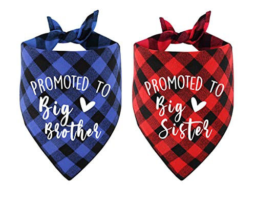 PNTKION 2 Stück Promoted to Big Brother Sister Plaid Cotton Pet Dog Bandana, Pet Dog Pregnancy Ankündigung Gender Reveal Photo Prop für Hundehalter von PNTKION