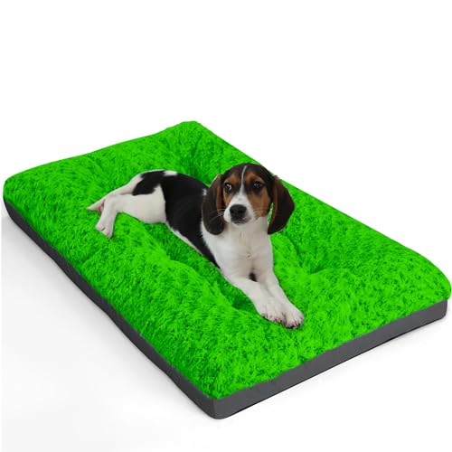 POCBLUE Waschbares Deluxe-Hundebett für kleine Hunde, Hundekäfig-Matte, 61 cm, bequem, flauschig, rutschfest, für Hunde bis zu 11,3 kg, 61 x 43,2 cm, Grün von POCBLUE