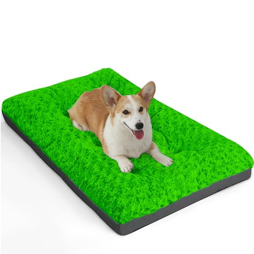 POCBLUE Waschbares Deluxe-Hundebett für mittelgroße Hunde, 76,2 cm, bequem, flauschig, rutschfest, für Hunde bis zu 18 kg, 76,2 x 48,3 cm, Grün von POCBLUE