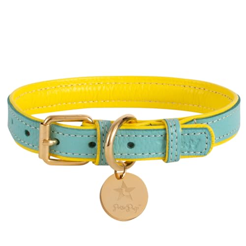 Poise Pup Hundehalsband aus Leder für kleine, mittelgroße und große Hunde, handgefertigt, verstellbar, weich, für Mädchen und Jungen, Größe XS (18 - 24 cm), Hellblau/Gelb von POISEPUP