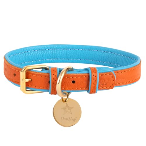 Poise Pup Hundehalsband aus Leder für kleine, mittelgroße und große Hunde, handgefertigt, verstellbar und weich, für Mädchen und Jungen, Größe L (49,9–47,8 cm), Orange/Blau von POISEPUP