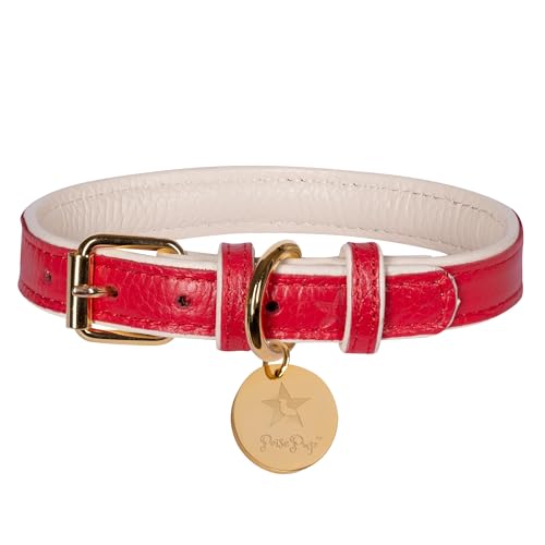Poise Pup – Stilvolles rotes Leder gepolstertes Hundehalsband – Handgefertigte Qualität für Ihren Welpen – Halsband verstellbar für große, mittelgroße und kleine Hunde – XL von POISEPUP