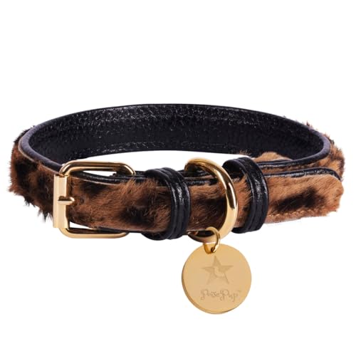 Poise Pup – Stilvolles schwarzes Leder gepolstertes Hundehalsband – Handgefertigte Qualität für Ihren Welpen – Halsband verstellbar für große, mittelgroße und kleine Hunde – groß von POISEPUP