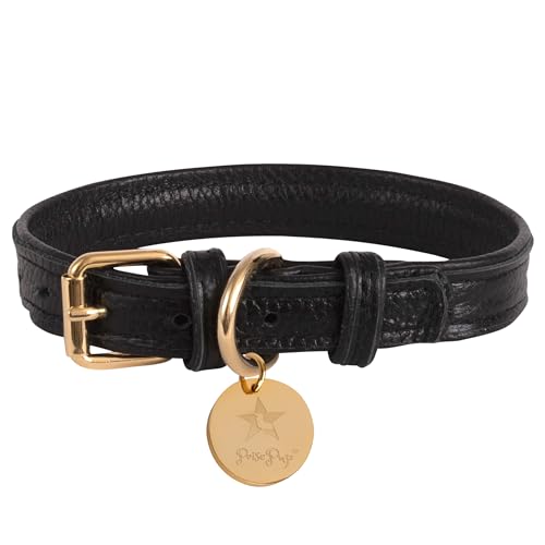 Poise Pup – Stilvolles schwarzes Leder gepolstertes Hundehalsband – Handgefertigte Qualität für Ihren Welpen – Halsband verstellbar für große, mittelgroße und kleine Hunde – groß von POISEPUP