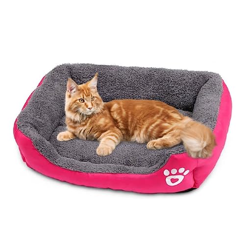 POLIPETS Hundebett bequem und weich, Design rechteckig, gepolstertes Anti-Stress-Bett für Hunde, wasserdichter Stoff, Maße: 53,3 x 38,1 cm, für mittelgroße Haustiere von POLIPETS