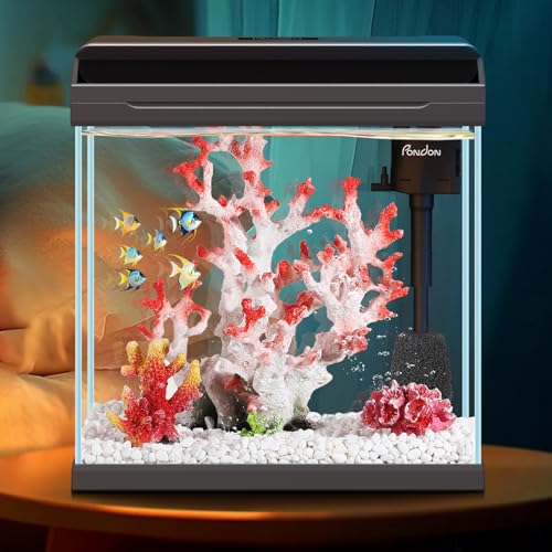 PONDON 1,2 l Aquarium von PONDON