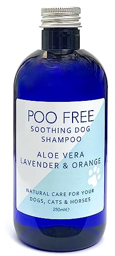 99% Natürlich BERUHIGEND Hunde SHAMPOO Mit ALOE VERA, ORANGE & LAVANDEL - 250ml - von POO FREE. Ohne Sulfat, Ohne Silikon, Ohne Parabene. Konzentriert, Beruhigt, Hydratisiert, Lindert Juckreiz. von POO FREE