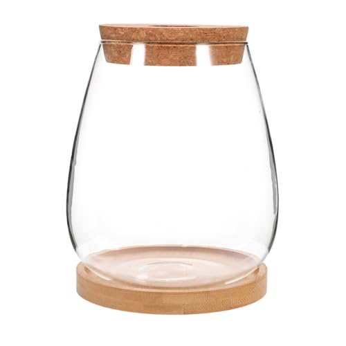 POPETPOP 1 Satz Hydroponischer Blumentopf Transparente Flasche Mikrolandschaft Terrarium Pflanzenbehälter Selber Machen Tischschmuck Ökologische Flasche Landschaftsbehälter Glas von POPETPOP