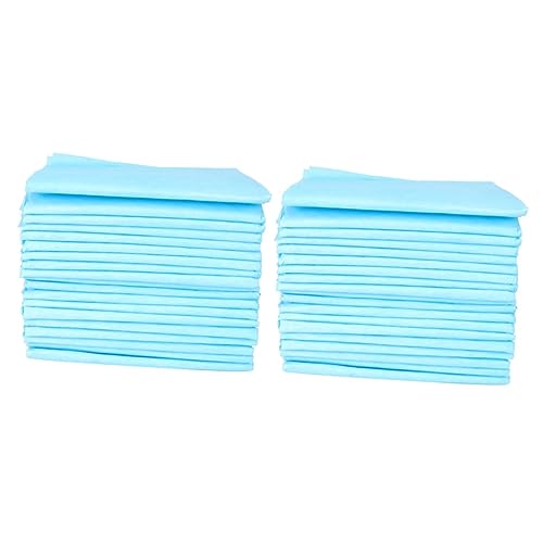 POPETPOP 100 STK Pet Pinkelmatte Einweg-hundewindeln Einweg-PIPI-Pads Hundewindeln Für Hunde Welpenwindeln Einwegwindeln Hunde-PIPI-Pads Welpen Pads Hund Töpfchen Haustier Vlies von POPETPOP