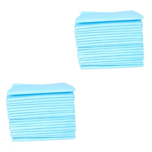 POPETPOP 100 STK Pet Pinkelmatte Welpen Pads Hunde-PIPI-Pads Welpenwindeln Einwegwindeln Hundewindeln Einweg-PIPI-Pads Pinkelunterlage Für Welpen Vlies Katzen-PIPI-Matte von POPETPOP