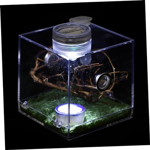 POPETPOP 2er-Box Springspinnen-zuchtbox Spinnenkäfig Aus Acryl Mini-tierwächter Vivarienbecken Zuchtbecken Für Aquarien Terrarium Reptilien Glas Kleine Spinne Keramik Insektenkiste von POPETPOP