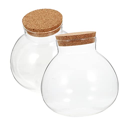 POPETPOP 2st Eco-Flasche Sanduhrgurke Einmachgläser Luftpflanzendekor Pflanzenterrarium-kit Großbehälter Für Terrarien Bewässerung Makramee Mit Deckel Luftdichte Keksdose Hausterrarium Glas von POPETPOP