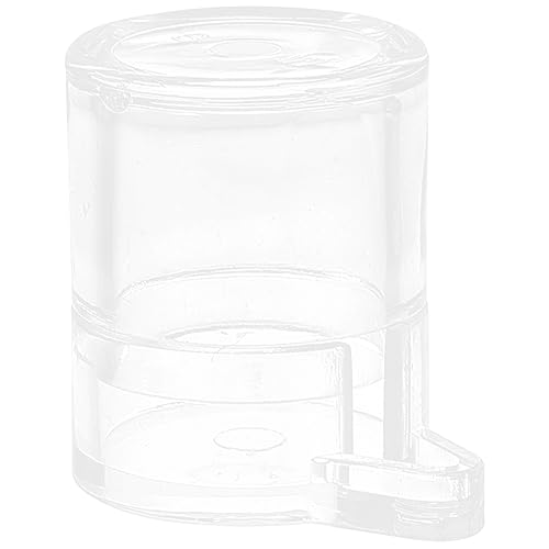 POPETPOP 3St Wasserspender für Haustiere Ameisen-Flüssigkeitsfuttermittel Ameisenhausputz pet Supplies haustierbedarf Formicarium-Wasserschale Ameisen Wassertrinkschale füttern Zubringer von POPETPOP