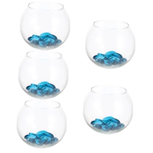 POPETPOP 5 Sätze Rundes Aquarium aus Glas kleines Aquarium Landschaft Terrarium Tischdekoration Bürodekoration klarer Behälter klare Glasschalen Aquarium im Wohnzimmer dekorative Vase von POPETPOP