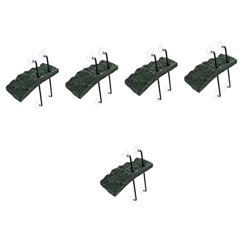 POPETPOP 5 Sets Landschaftsbau Schildkröte Terrarium Amphibien Plattform Ruheterrasse Felsen Reptil Sonnenrasen Harzbecher Wasser Saugtiere Dock Tank Zum Schwimmenden Klettern Backen von POPETPOP