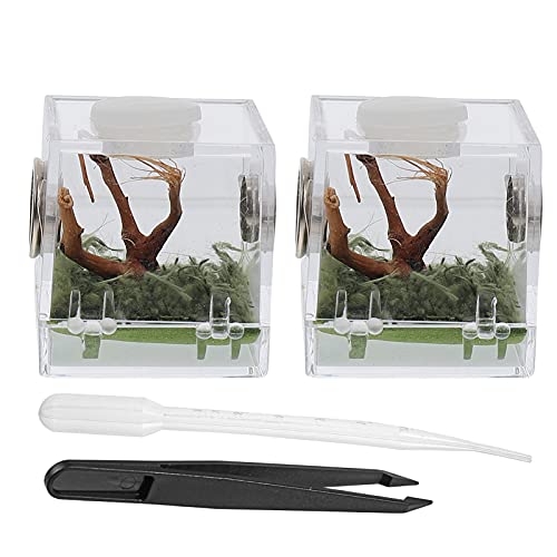 POPETPOP 6Sets Spinne Terrarien Zangen- Gehege- Einsiedler Mini Bärtiger Wächter Haus Einfaches Kleines L Aquarium Drachenschildkröte Reptil. Hohes Landschaftstier Xcm Behälter von POPETPOP