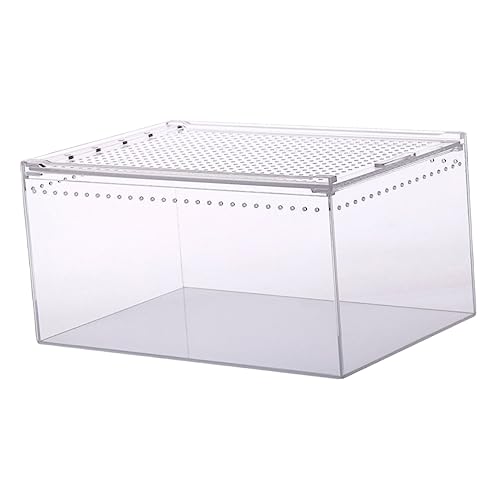 POPETPOP Box Acryl Krabbeln Pet Box Schnecke Terrarium Vivarium Tank Spinne Terrarium Aquarium Zuchtbecken Schildkrötenbecken Terrarium Box Schildkröte Gehäuse Für Reptilien Transparentes von POPETPOP