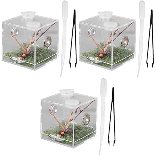 POPETPOP 3 Stücke Box Spinne Zucht Käfig Reptil Terrarium Insekten Acryl Pet Fall Mit Und Belüftung von POPETPOP