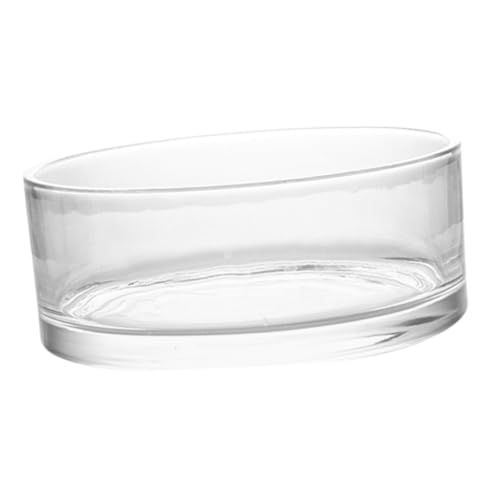 POPETPOP Dekovase aus Glas bürodeko büro Dekoration hausdeko Home Decoration wohnungseinrichtung Stand Gefälschte Pflanzen Gerät groß Links breite Glasvase Wasservase aus Glas Transparent von POPETPOP