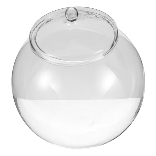 POPETPOP Eco-Flasche bürodeko büro Dekoration vase terrarien zimmerpflanzen hochzeitsdeko Tischschmuck dekorativer Mikro-Landschaftsbehälter leeres Terrarium Pflanzenterrarium Glas von POPETPOP