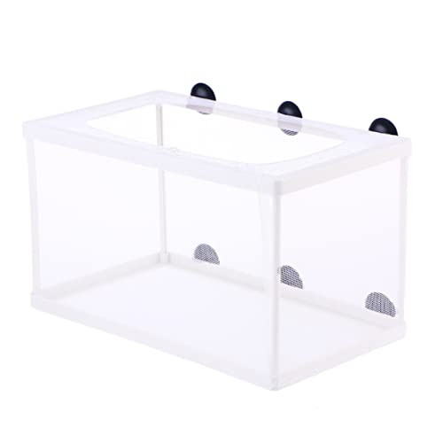 POPETPOP Fischbrüter Net Big Size Fry Hatchery Inkubator mit Saugnapf für Aquarium(25 x 15 x 15cm) von POPETPOP