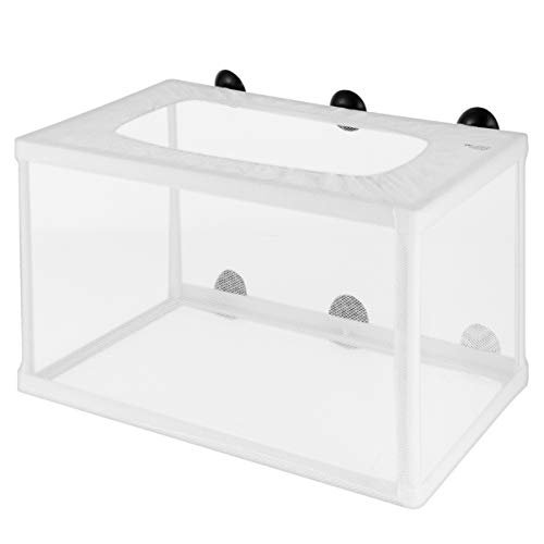 Ablaichkasten Aquarium Isolationsbox Mit Saugnäpfen- Brüterei Inkubator für Babyfische Shrimp Clownfish Guppy von POPETPOP